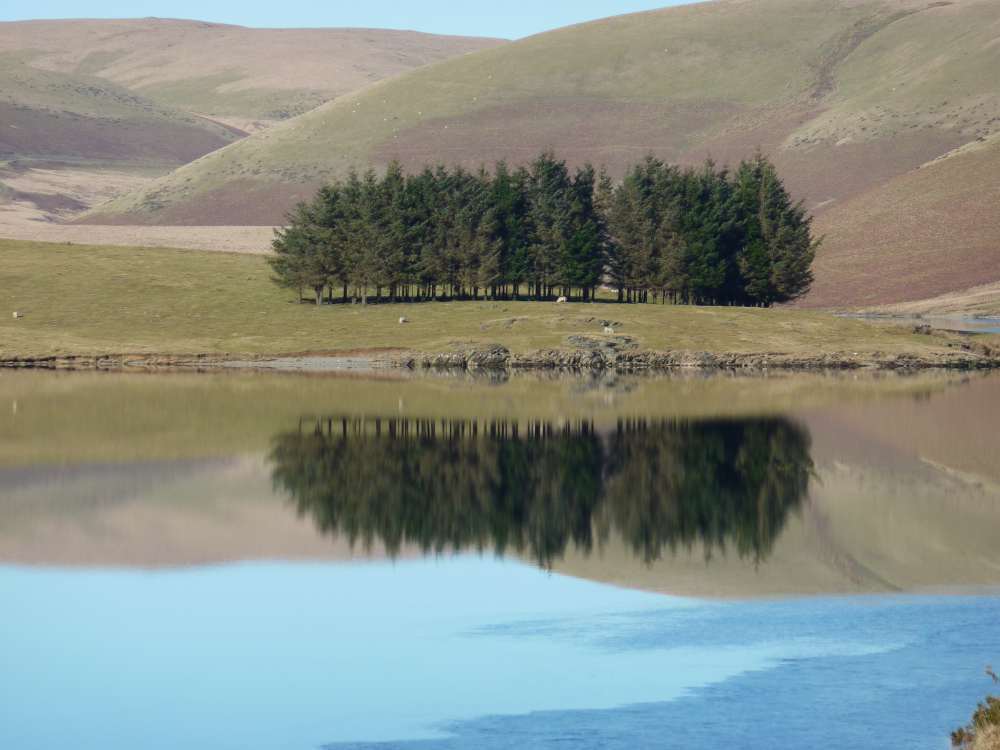 Near By - Elan Valley Dams Reflection.